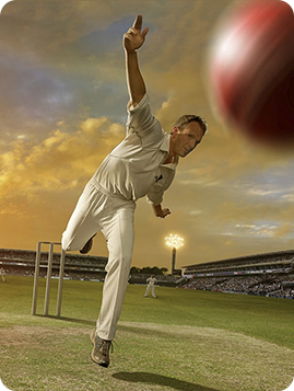 Cricket-new